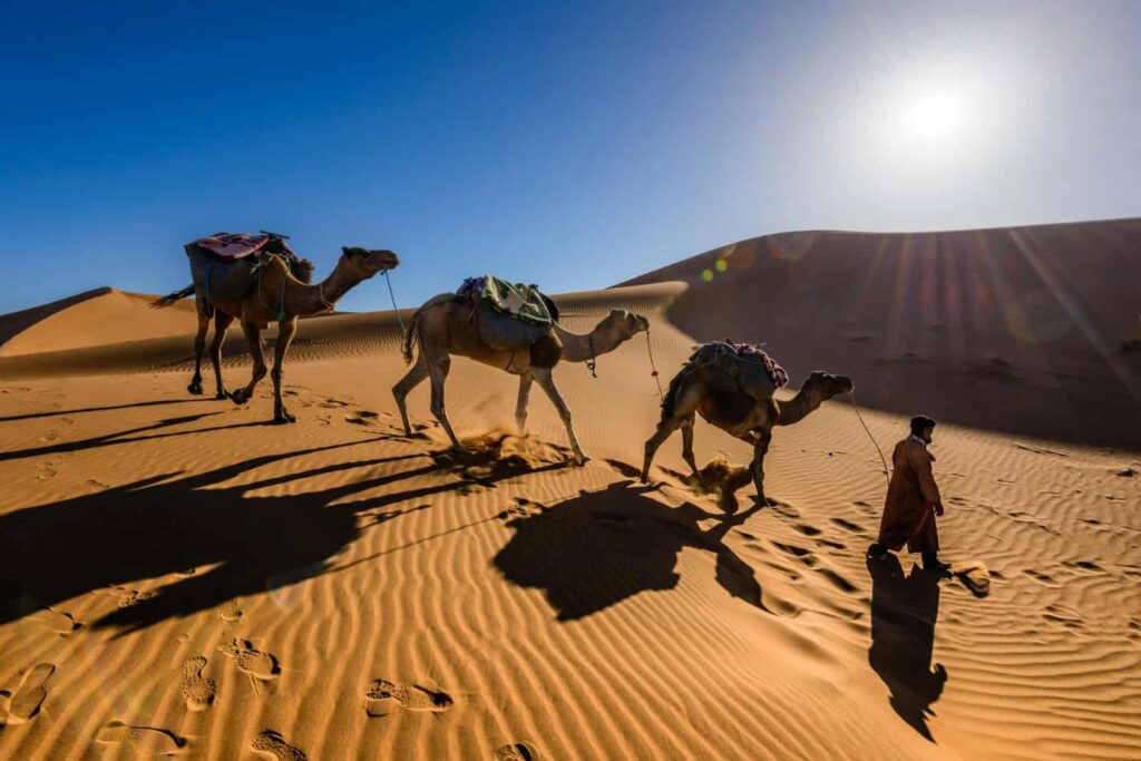 Private Sahara Tours from Marrakech
