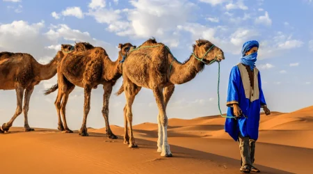 5 days tour from fes to marrakech